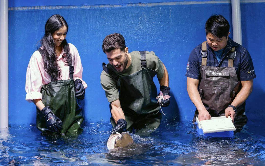 Dubai Aquarium & Underwater Zoo with Ultimate Experience Gold Pass Image 4