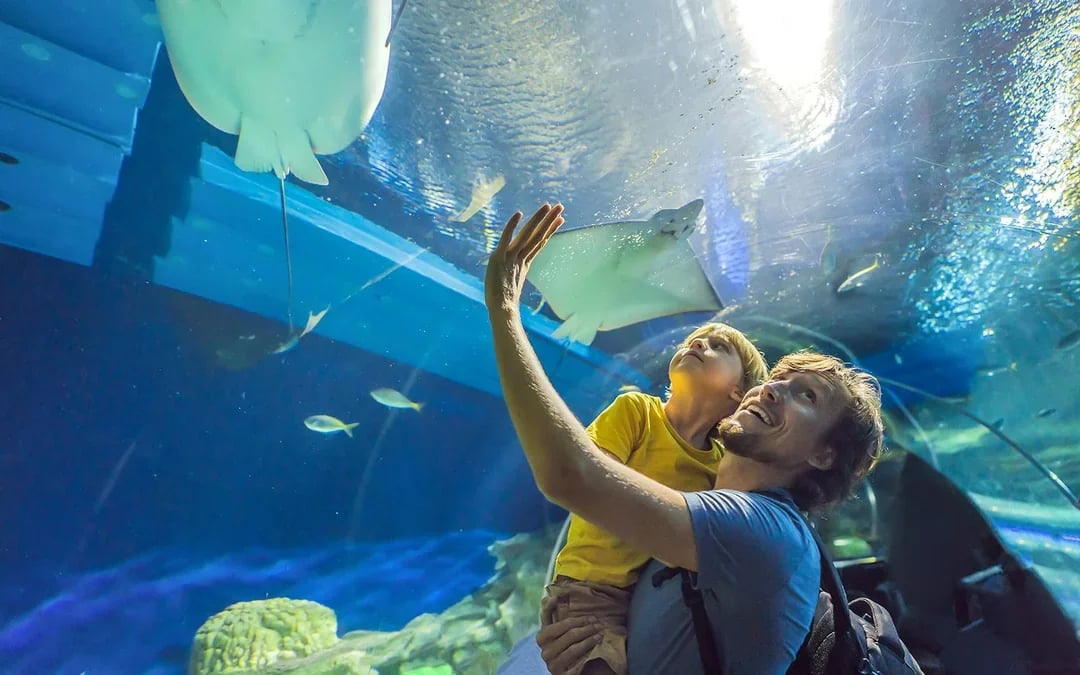 Dubai Aquarium & Underwater Zoo with Ultimate Experience Gold Pass Image 8