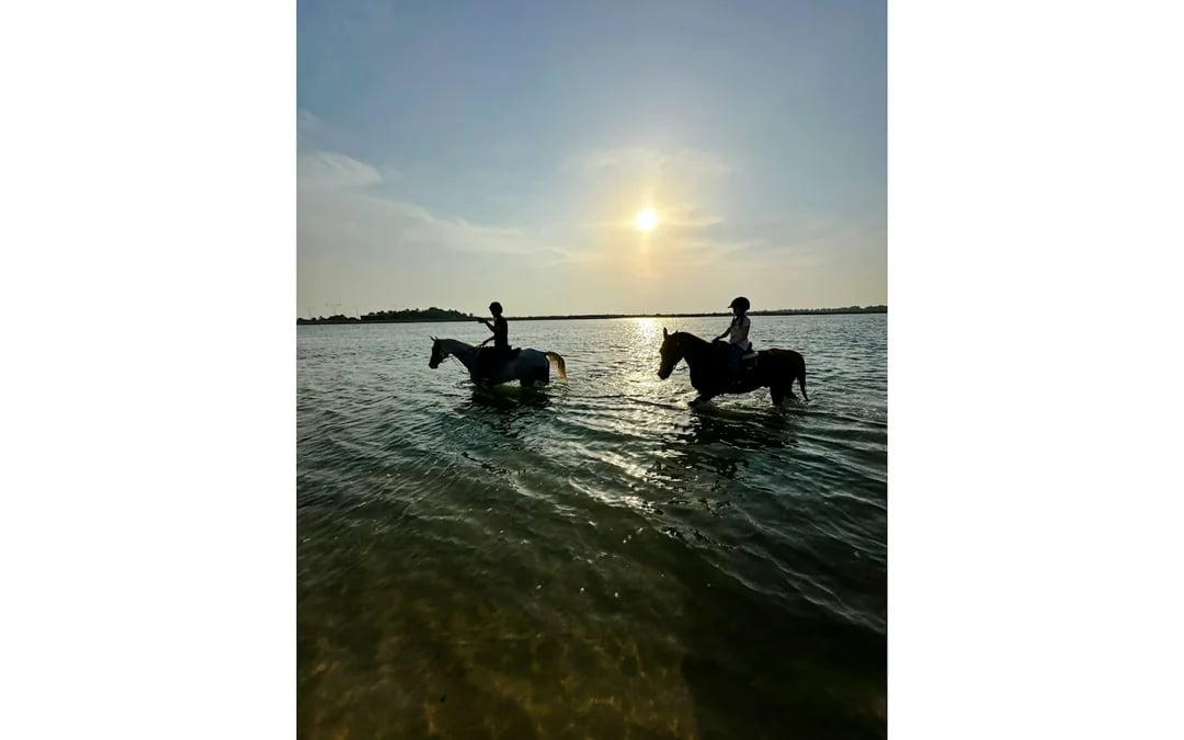 Dubai Beach Horse Riding with Private Picnic for Two Image 5