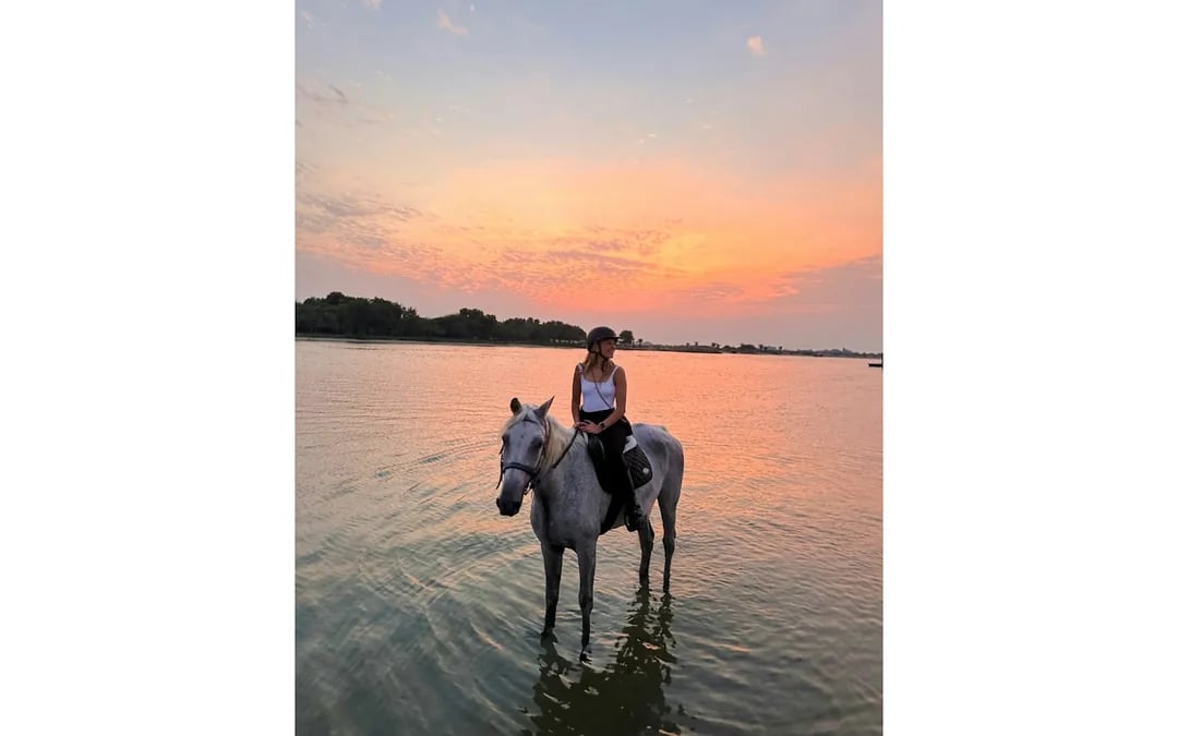 Dubai Beach Horse Riding with Private Picnic for Two Image 7