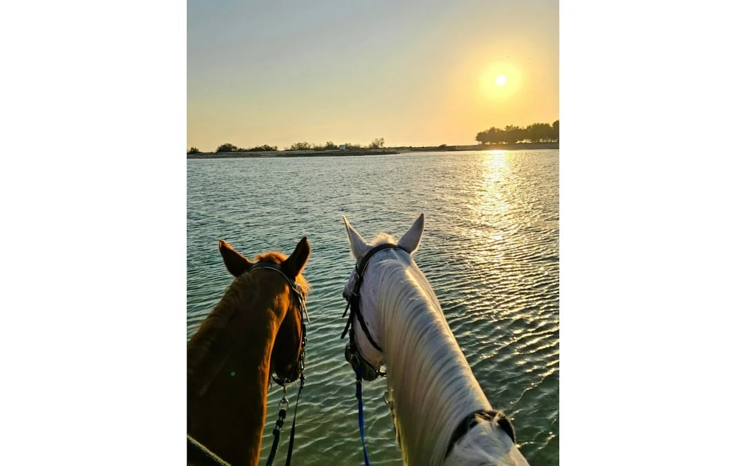 Dubai Beach Horse Riding with Private Picnic for Two Image 9