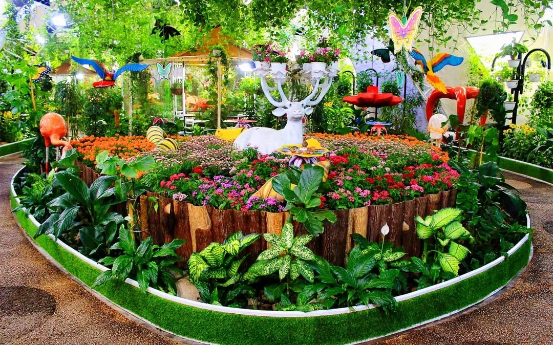 Dubai Butterfly Garden Skip-the-Line Tickets Image 2