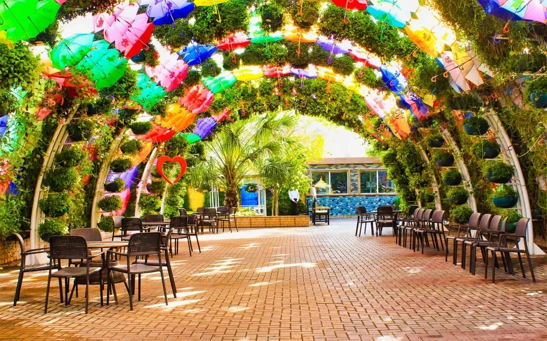 Dubai Butterfly Garden Skip-the-Line Tickets Image 6