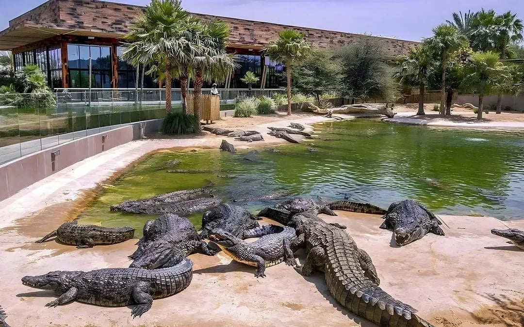 Dubai Crocodile Park Tickets Image 2