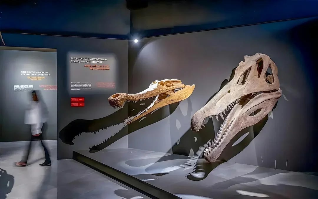 Dubai Crocodile Park Tickets Image 4