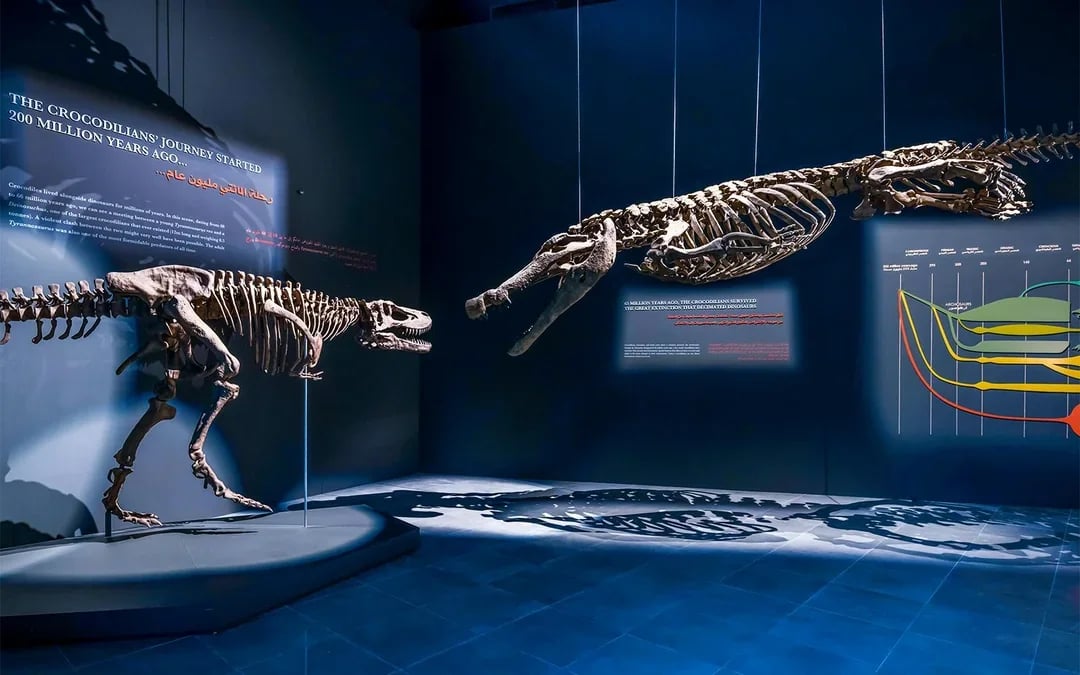 Dubai Crocodile Park Tickets Image 5