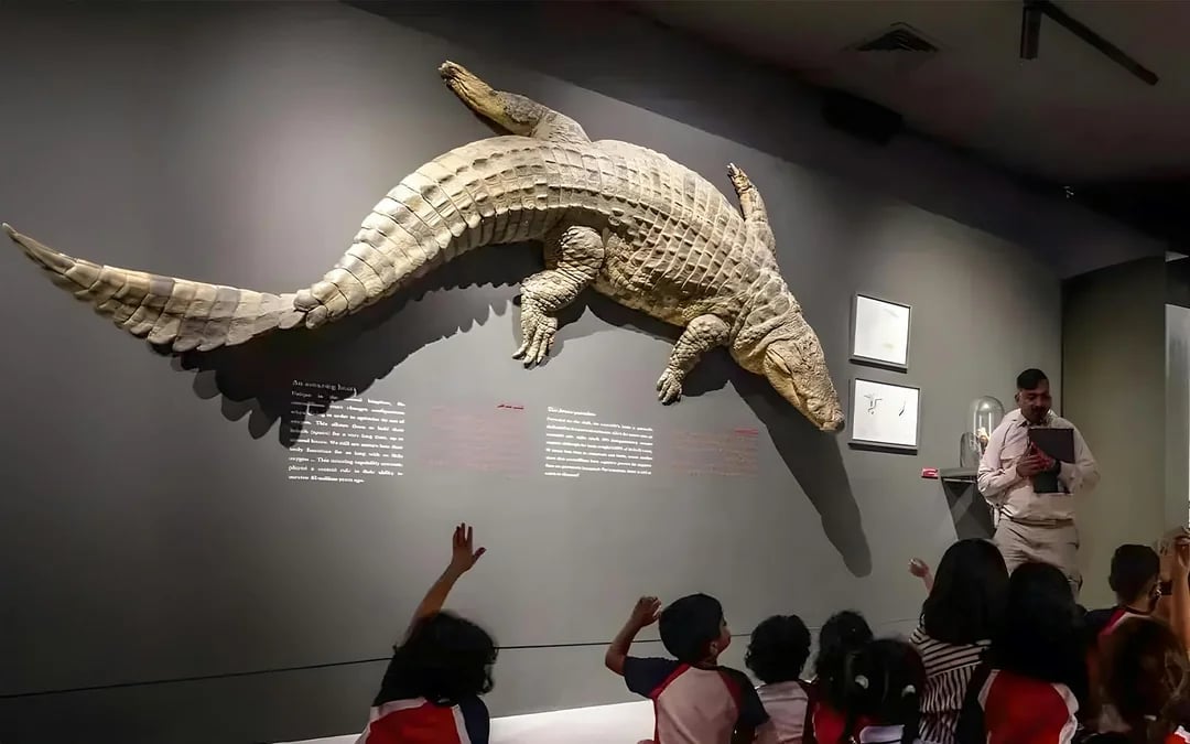Dubai Crocodile Park Tickets Image 6