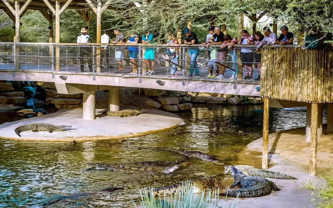 Dubai Crocodile Park Tickets Image 10