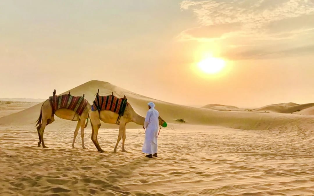 Dubai Desert Safari with 4x4 Dune Bashing, Camel Ride, BBQ Dinner, Live Shows and Hotel Transfers Image 7
