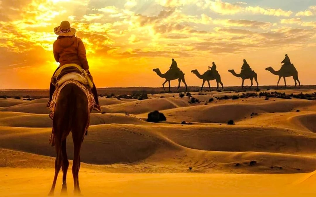 Dubai Desert Self-Drive Buggy or Quad Bike with Premium Desert Dinner and Private Transfers Image 6