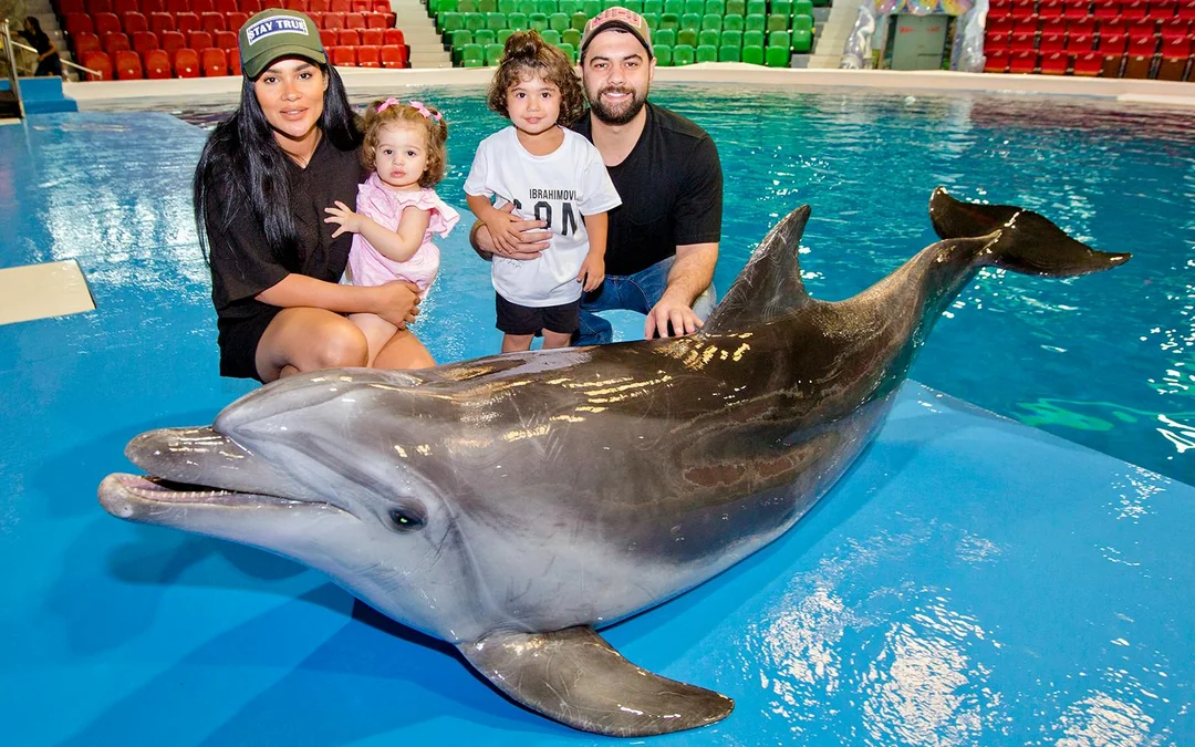 Dubai Dolphinarium: Dolphin & Seal Show + Mirror Maze Tickets with Popcorn Image 2