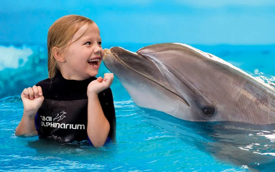 Dubai Dolphinarium: Dolphin & Seal Show VIP Tickets + Dolphin Encounter Image 1