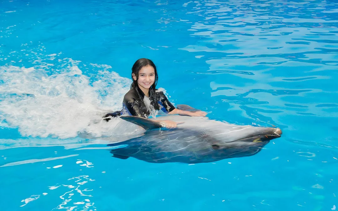 Dubai Dolphinarium: Dolphin & Seal Show VIP Tickets + Dolphin Encounter Image 2