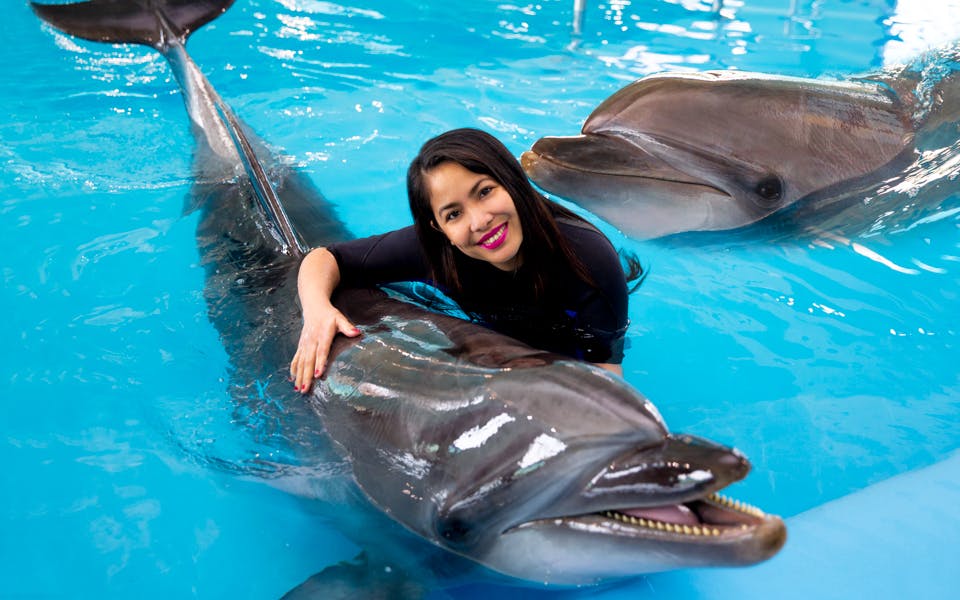 Dubai Dolphinarium: Dolphin & Seal Show VIP Tickets + Dolphin Encounter Image 3