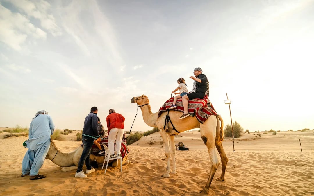 Dubai Evening Desert Safari with BBQ Dinner and Live Shows Image 1