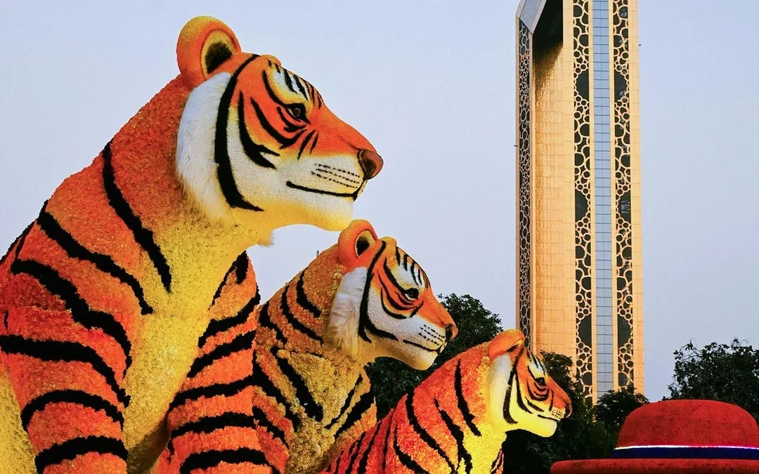 Dubai Garden Glow Tickets Image 8