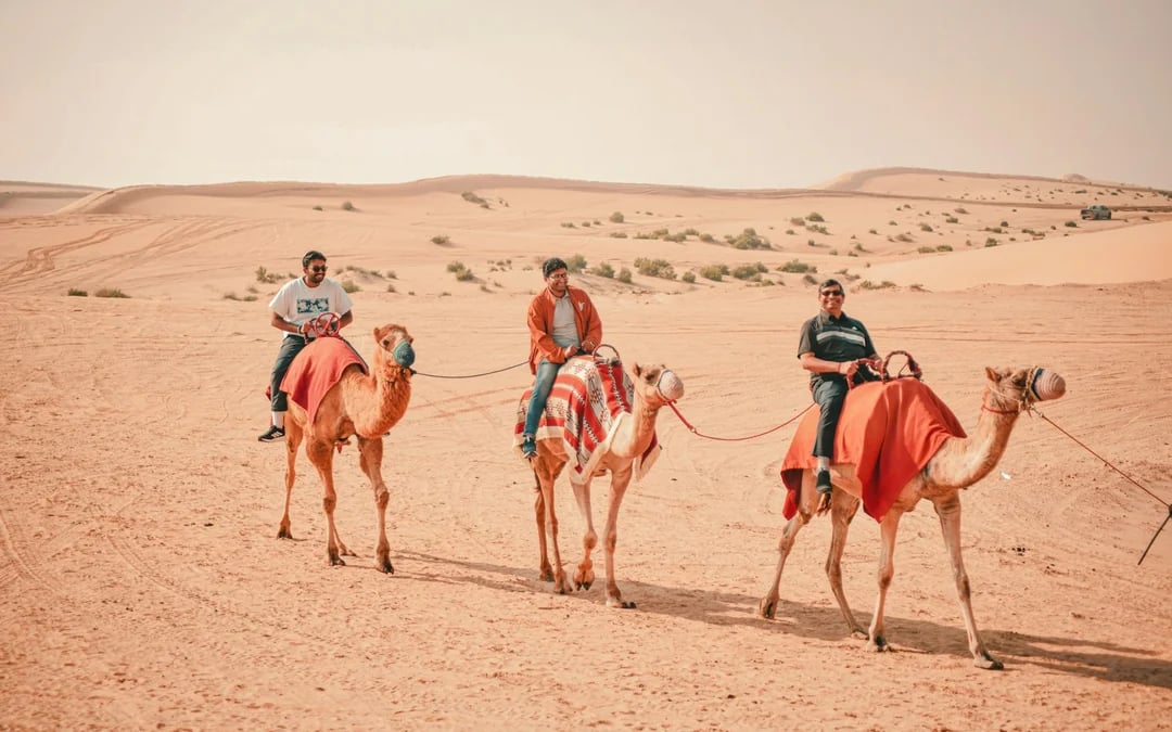 Dubai Morning Desert Safari with Dune Bashing, Sandboarding and Camel Ride Image 3