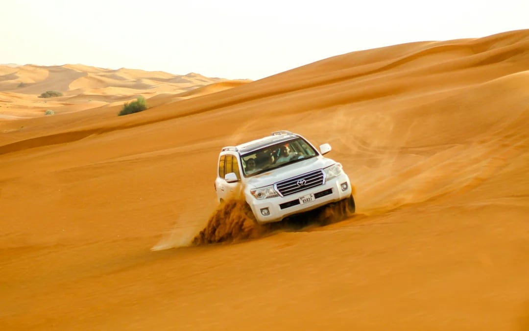 Dubai Morning Desert Safari with Dune Bashing, Sandboarding and Camel Ride Image 4