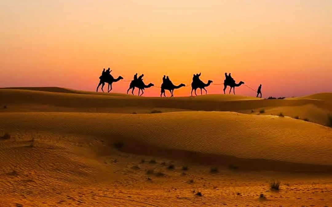 Dubai Red Dunes Desert Safari with BBQ Dinner, Camel Ride, Sandboarding and Hotel Transfers Image 3