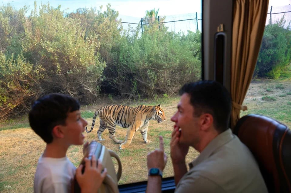 Dubai Safari Park Ticket