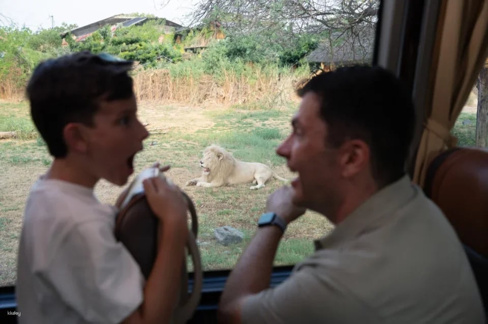 Dubai Safari Park Ticket