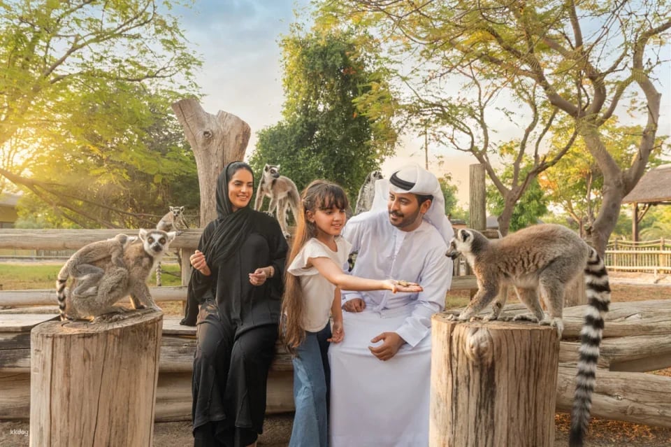 Dubai Safari Park Ticket