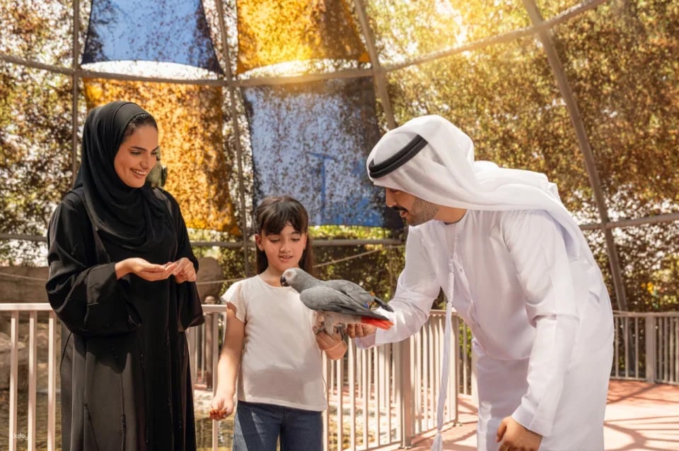 Dubai Safari Park Ticket