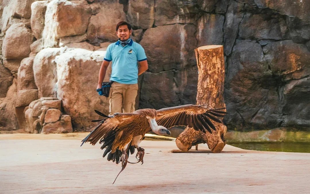 Dubai Safari Park Tickets with Explorer Safari & Shuttle Train Image 9