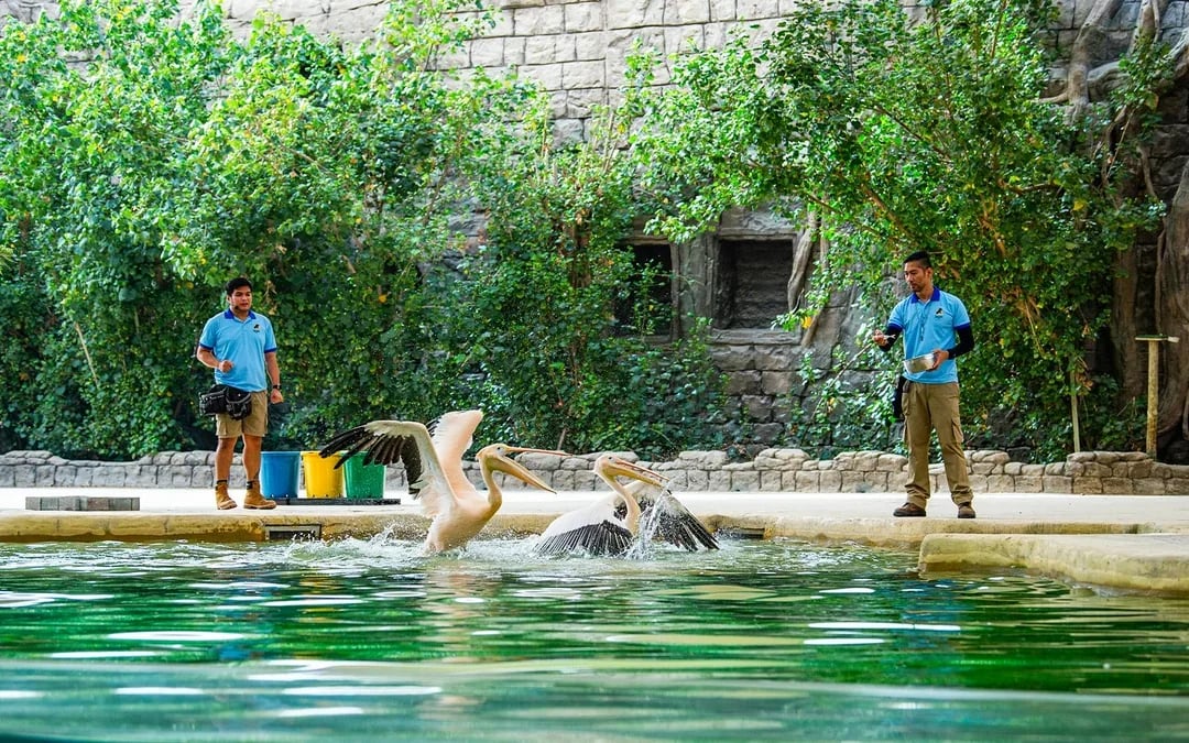 Dubai Safari Park Tickets Image 3