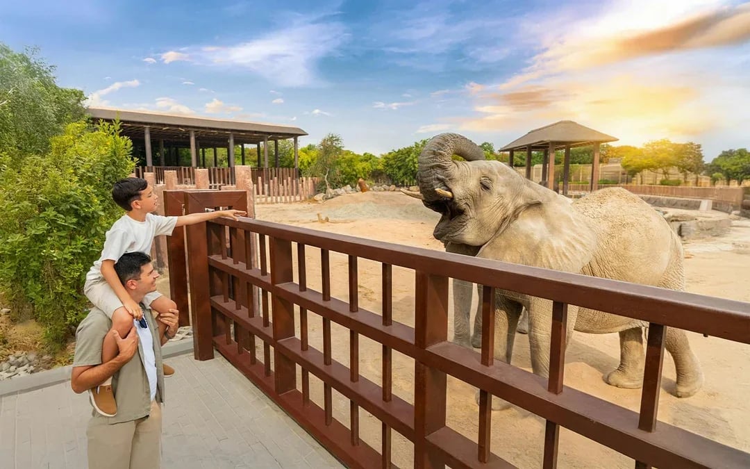 Dubai Safari Park Tickets  Image 7