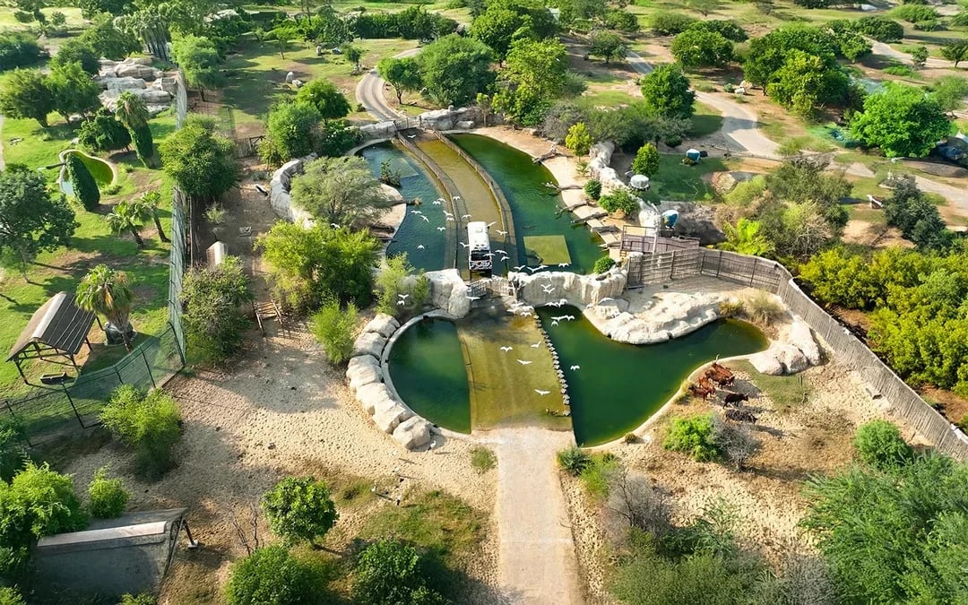Dubai Safari Park Tickets  Image 8