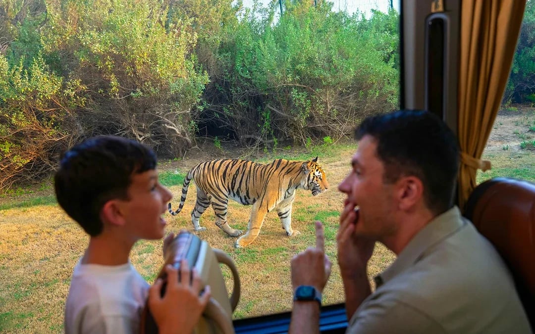Dubai Safari Park Tickets  Image 9