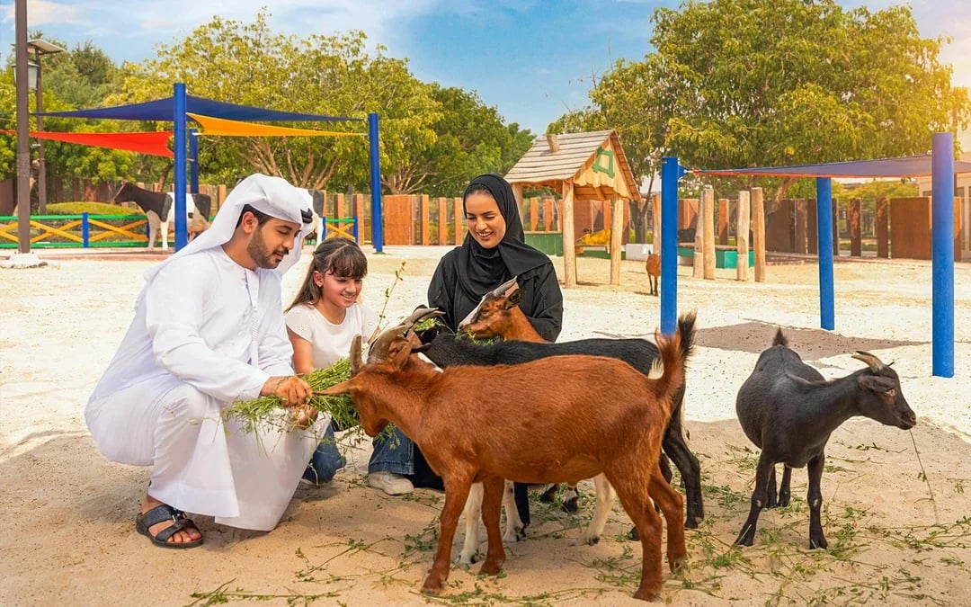 Dubai Safari Park Tickets  Image 10