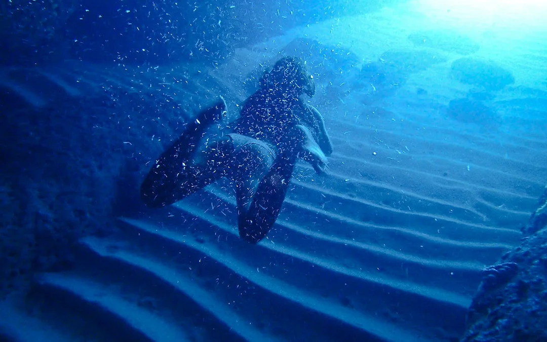 Dubrovnik: Blue Cave, Green Caves & Sunj Beach Cruise with Unlimited Drinks Image 12