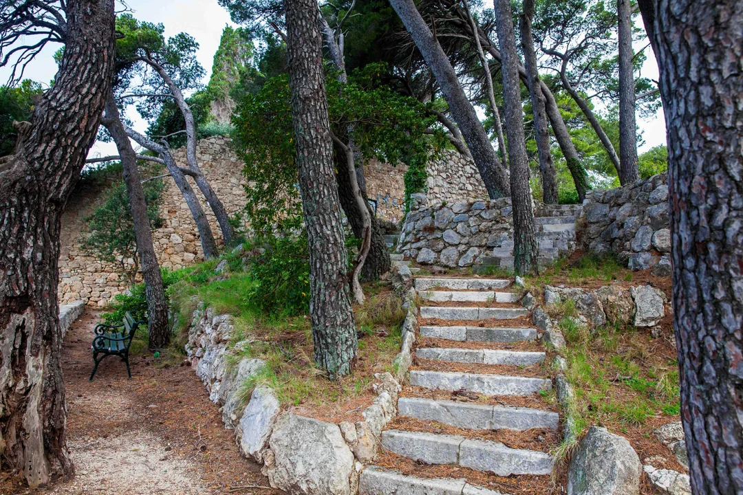 Dubrovnik: Game of Thrones Cruise with Cocktail & Old Town Walking Tour Image 8