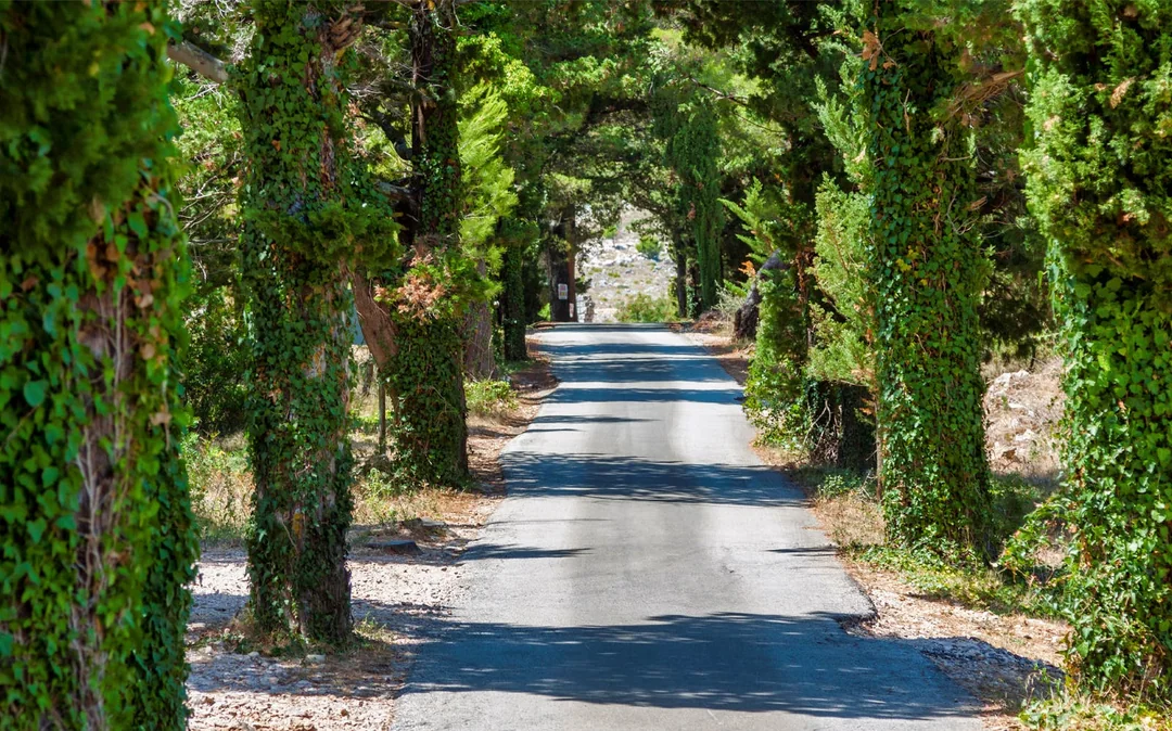 Dubrovnik: Game of Thrones Driving Tour Image 3