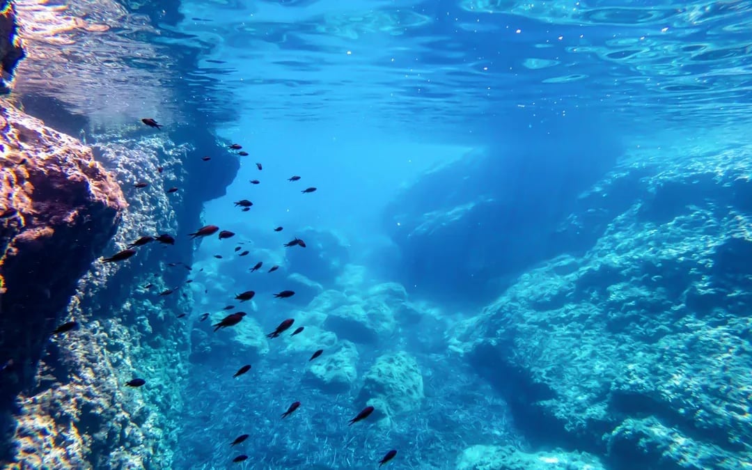 Dubrovnik: Private Boat Tour to Blue Cave & Elaphiti Islands with Unlimited Drinks Image 8
