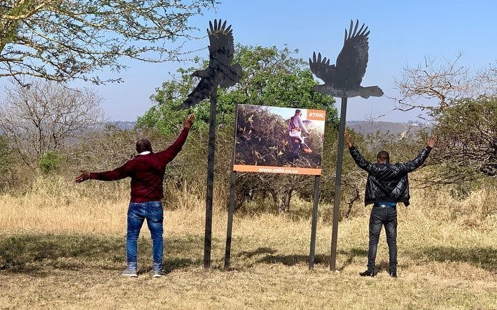 Durban Safari Tour: Natal Lion Park, Birds of Prey, Tala Game Reserve & PheZulu Cultural Experience Image 9