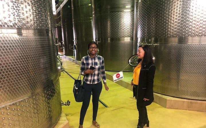 Durbanville Winelands Private Wine Estates Tour from Cape Town Image 6