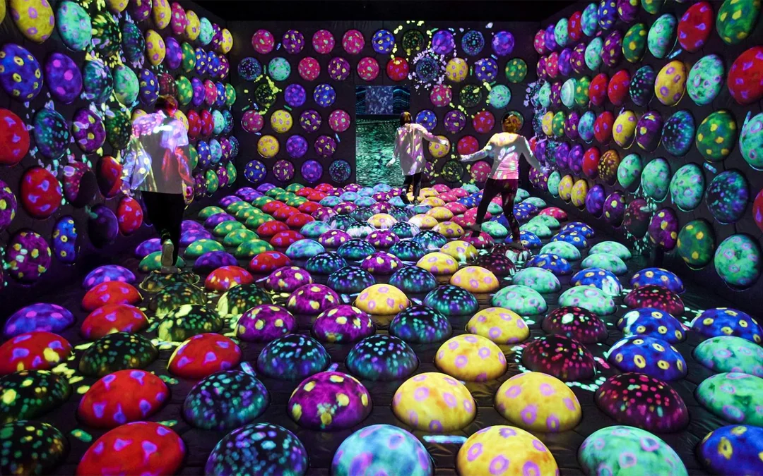 E・ZO FUKUOKA teamLab Forest Tickets Image 4