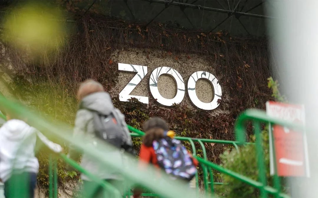 Edinburgh Zoo Entrance Tickets Image 6