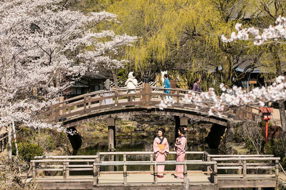Edo Wonderland Nikko Edomura Ticket (¥300 Off) | Japan