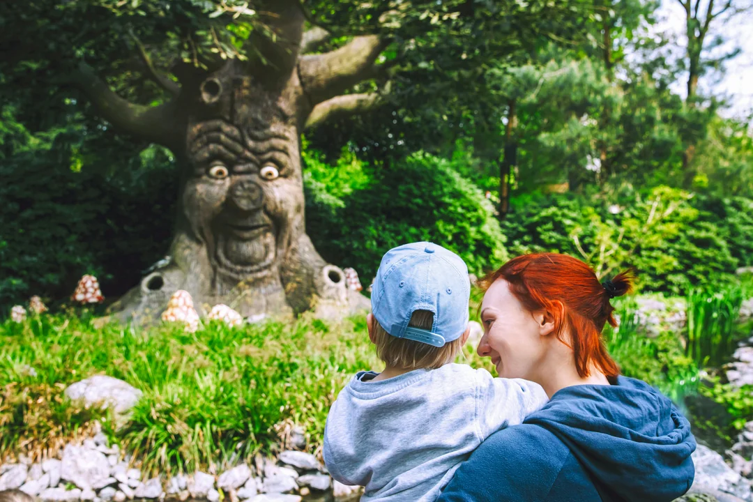 Efteling: Bus To/From Amsterdam Image 8