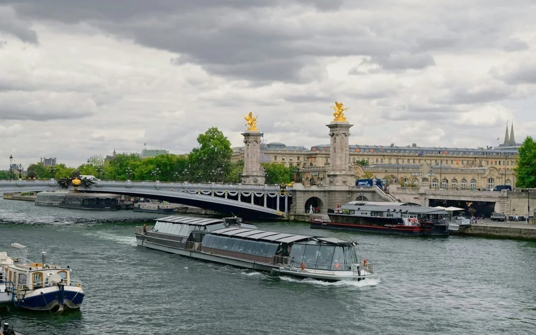 Eiffel Tower 2nd Floor Guided Tour with Reserved Access and Seine River Cruise Ticket Image 5
