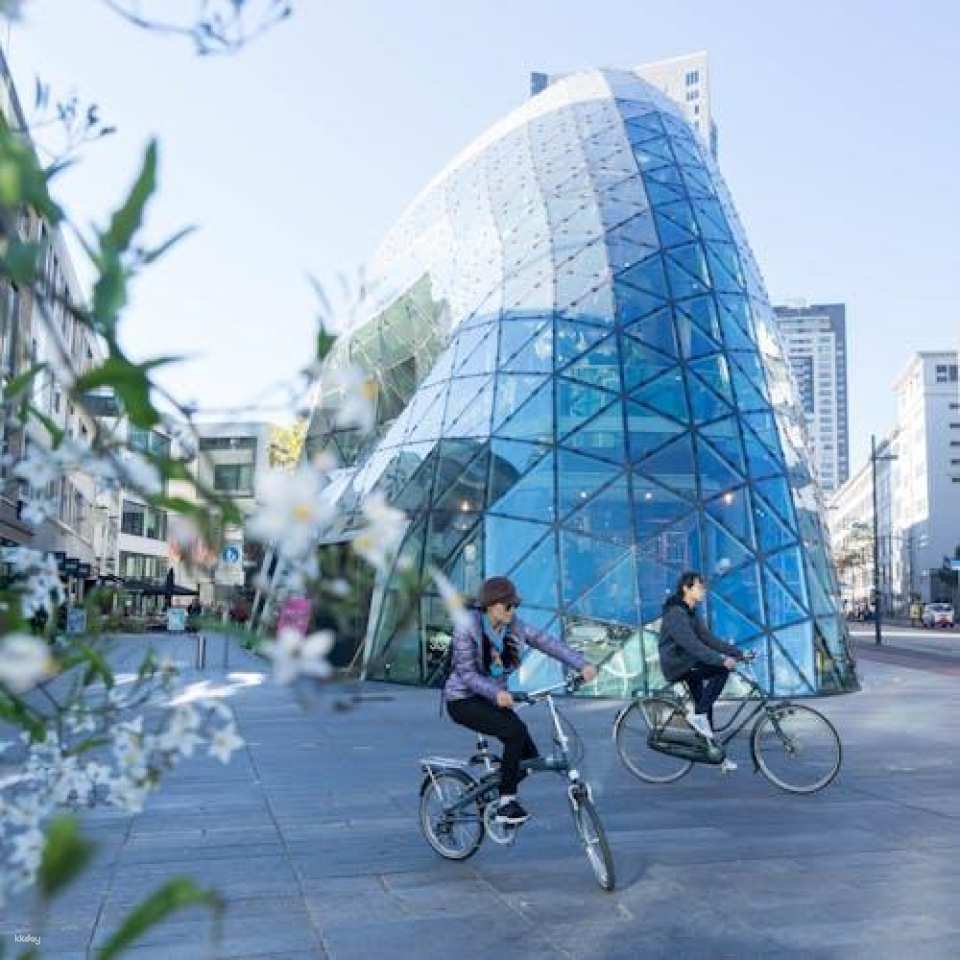 Eindhoven Highlights 2-Hour Bike Tour with Local Guide