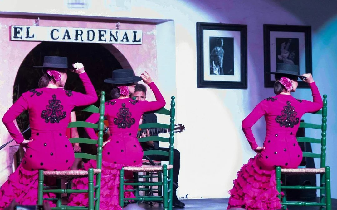 El Cardenal - Flamenco Show Image 3