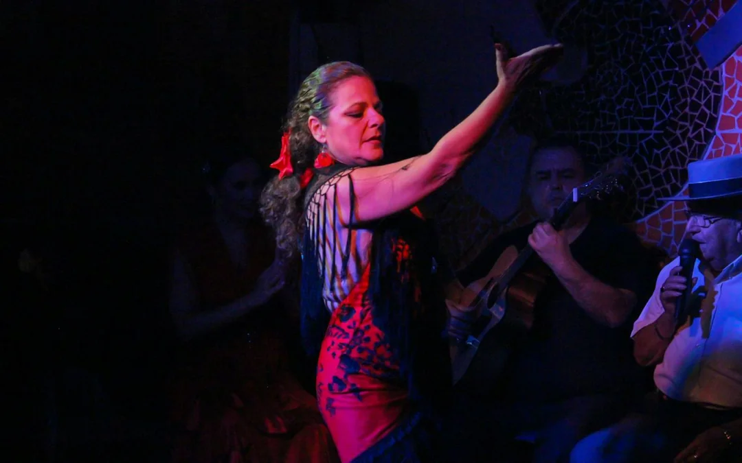 El Toro y la Luna - Flamenco Show Image 2