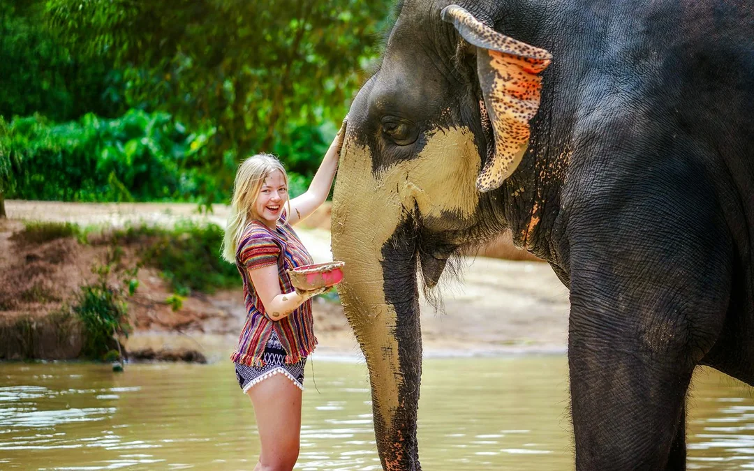 Elephant Sanctuary Tour with Transfers in Phuket Image 3