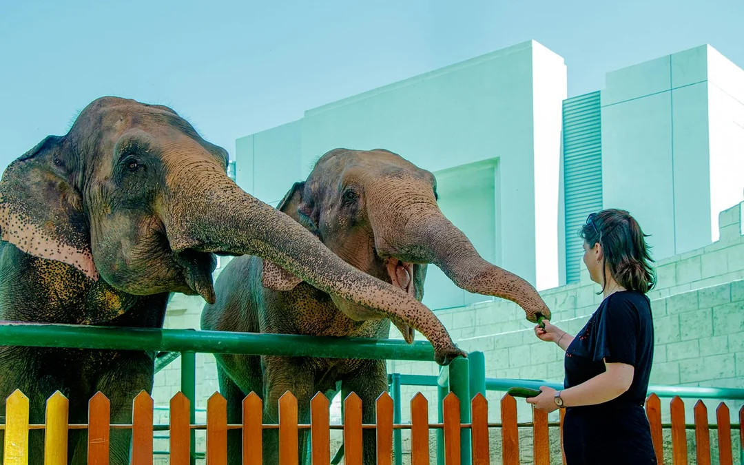 Emirates Park Zoo Tickets Image 3