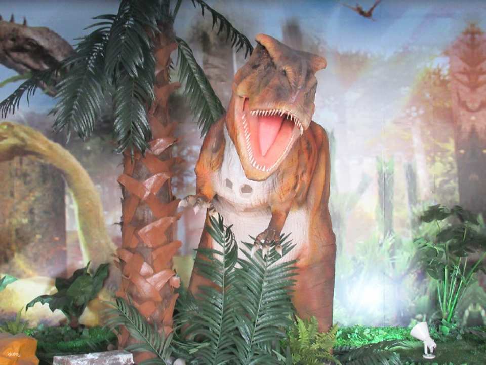 Gifu | Enakyo Wonderland Admission Ticket/One-Day Pass